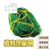 植物爬藤網(wǎng) 花卉種植網(wǎng) 家用園藝網(wǎng) 普通型320D/27股 1.8m*1.8m